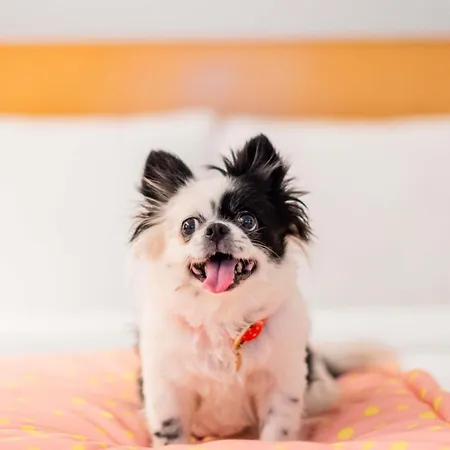 Hotel Ibis Centre Tour Bretagne Nantes