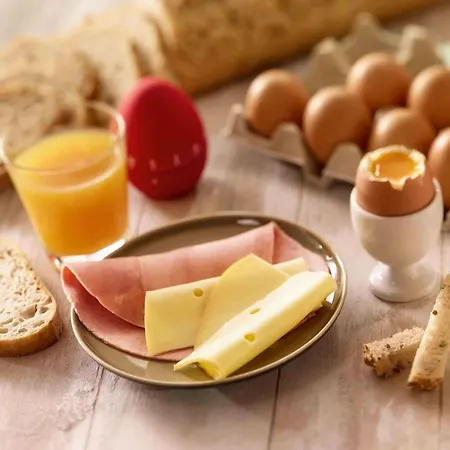 南特中心布列塔尼宜必思旅游酒店